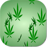 Marijuana Live Wallpaper icône
