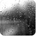 Rain Live Wallpaper