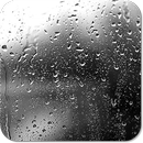 Rain Live Wallpaper aplikacja