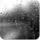 Rain Live Wallpaper أيقونة