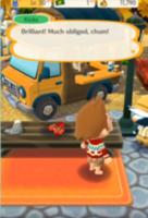 Tips For Animal Crossing Pocket Camp screenshot 3