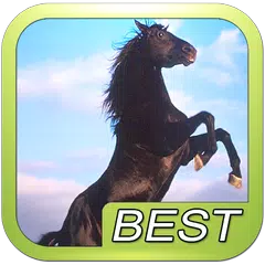 Horse neigh sound effect APK download