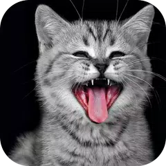 Cat sound meow cute sound APK download
