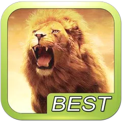 download Lion Roar Animals Sound APK