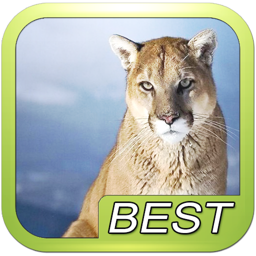 Mountain Lion Sound Effect