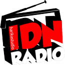 IDN Radio - Radio Indonesia APK