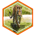 Fondos de Tigre HD icono
