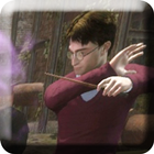 Harry Magic Phoenix Combat icône