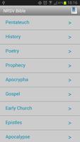 NRSV Bible poster