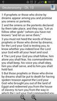 NRSV Bible screenshot 2