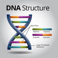 Harun Yahya - Rahasia DNA تصوير الشاشة 1