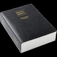 Holy Bible Affiche