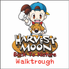 Walkthrough Harvestmoon BTN icono