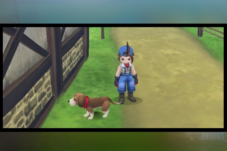 Harvest Moon Hero Of Leaf Valley Download Pc Harvest Moon Hero Of Leaf Valley Download Pc