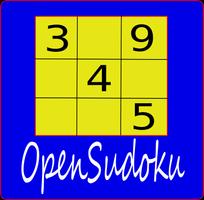 Main Sudoku Affiche