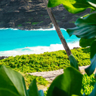 Îles hawaïennes icône