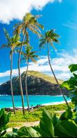 Îles hawaïennes Affiche