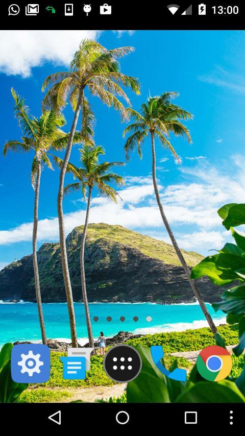 Ilhas havaianas para Android - APK Baixar