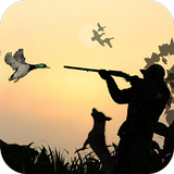 Duck Hunting 3D APK