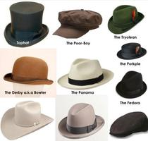 hat styles ideas capture d'écran 1