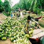 Ben tre halan icône