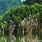 Ben tre italy icône