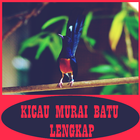 KICAU MURAI BATU LENGKAP MP.3 ícone