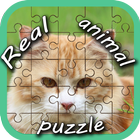 Real Animal Puzzle Pieces آئیکن