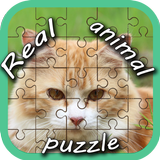 Real Animal Puzzle Pieces icône
