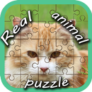Real Animal Puzzle Pieces aplikacja