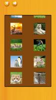 Real Animal Puzzle Pieces screenshot 1