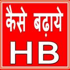 HB Kaise Badhaye icono