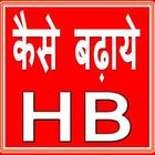 HB Kaise Badhaye icon