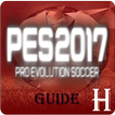 Guide for PES17