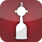 Libertadores 2017 Zeichen