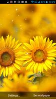 Golden Sunflower LWP 스크린샷 3