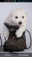 Puppy Live Wallpaper تصوير الشاشة 2