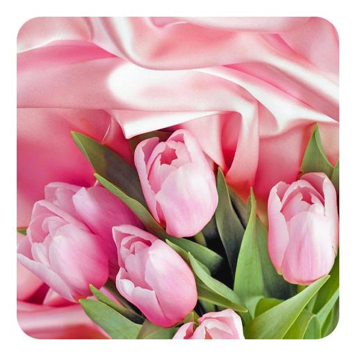 Pink Roses Live Wallpaper