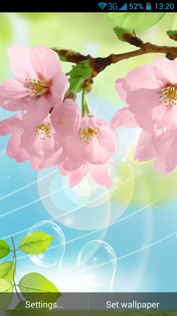Android 用の 桜ライブ壁紙 Apk をダウンロード