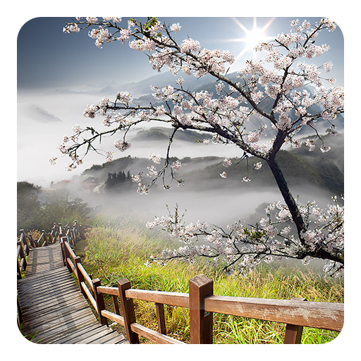 Spring Sunrise Live Wallpaper