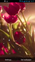 Tulipes Fond Animé Affiche