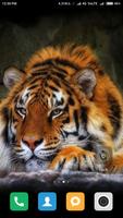 Wild Animal Wallpapers الملصق