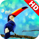 Animal Wallpapers HD aplikacja