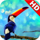 Animal Wallpapers HD-icoon