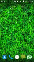 Green Leaf Wallpaper capture d'écran 3