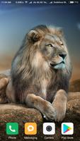HD Lion Wallpapers پوسٹر