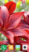 2 Schermata HD Lily Flower wallpaper