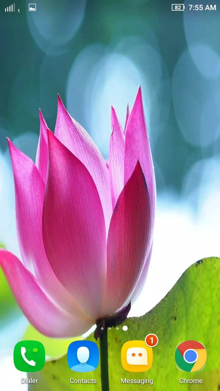 Tải xuống APK HD Lotus Flower Wallpaper cho Android