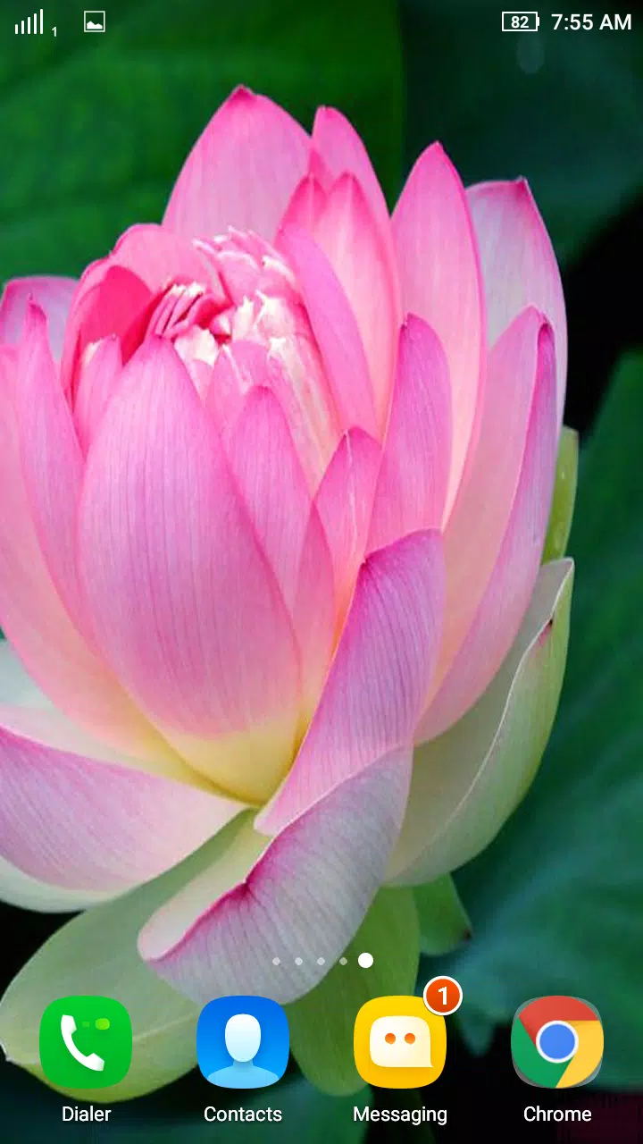 Tải xuống APK HD Lotus Flower Wallpaper cho Android Tải xuống APK HD Lotus Flower Wallpaper cho Android