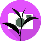 Rize Live HD icon